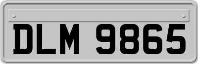 DLM9865