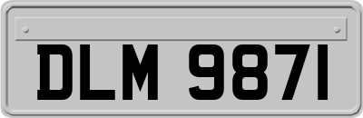 DLM9871