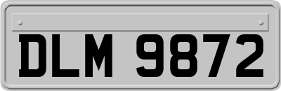 DLM9872