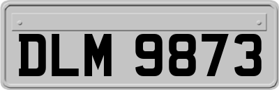 DLM9873