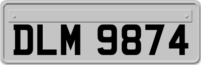 DLM9874