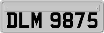 DLM9875