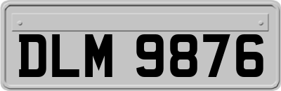 DLM9876