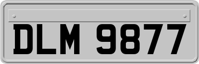 DLM9877