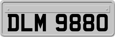 DLM9880