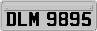 DLM9895