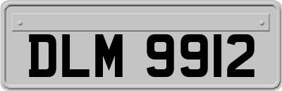 DLM9912