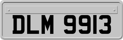 DLM9913