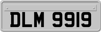 DLM9919