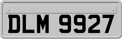 DLM9927