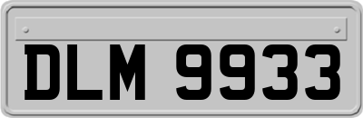 DLM9933