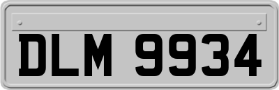DLM9934