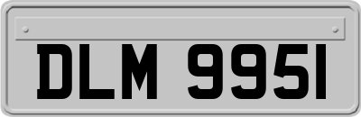 DLM9951