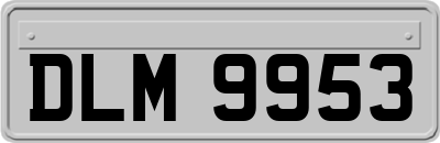 DLM9953
