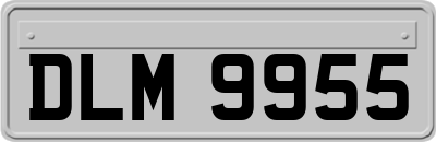 DLM9955