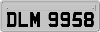 DLM9958