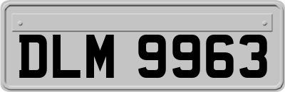 DLM9963
