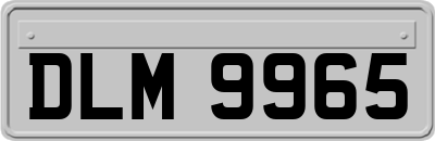 DLM9965