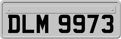 DLM9973