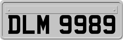 DLM9989