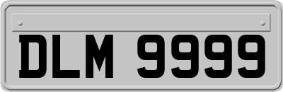 DLM9999