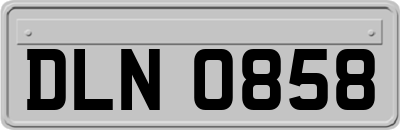 DLN0858