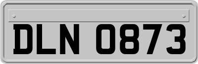 DLN0873