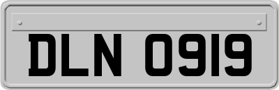 DLN0919