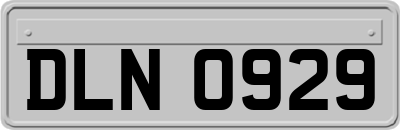 DLN0929