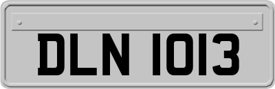 DLN1013