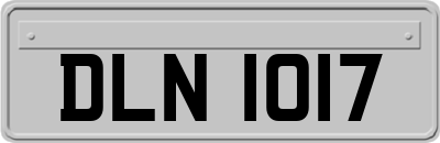 DLN1017