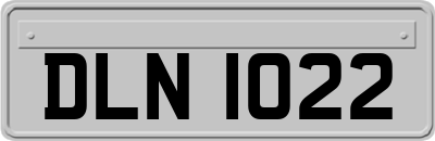 DLN1022