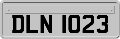DLN1023