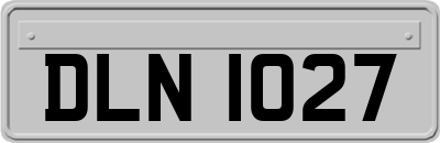 DLN1027