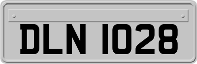 DLN1028