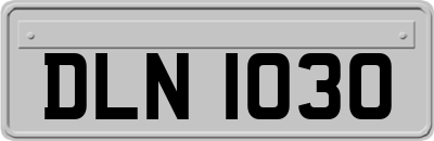DLN1030