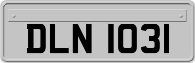 DLN1031