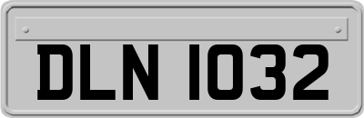 DLN1032