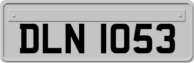DLN1053