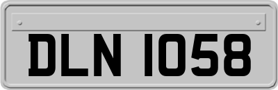 DLN1058