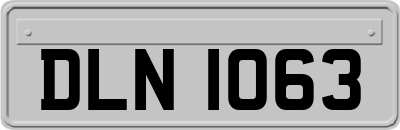 DLN1063