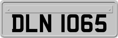 DLN1065