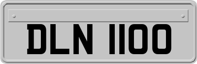 DLN1100