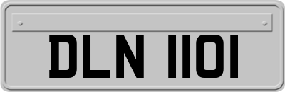 DLN1101