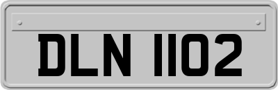 DLN1102