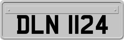 DLN1124