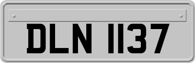 DLN1137