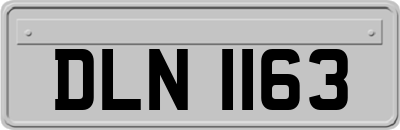 DLN1163