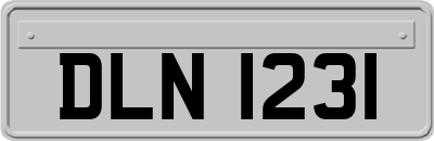 DLN1231