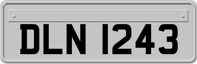 DLN1243